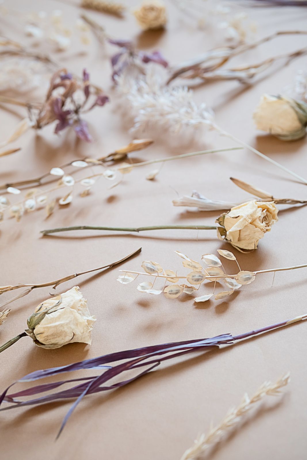 Dried roses, grasses and lavender-toned stems laid out on a warm beige surface